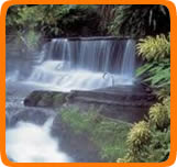 Arenal Spa Resort, exotic paradise